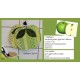 Pot holder set green apples